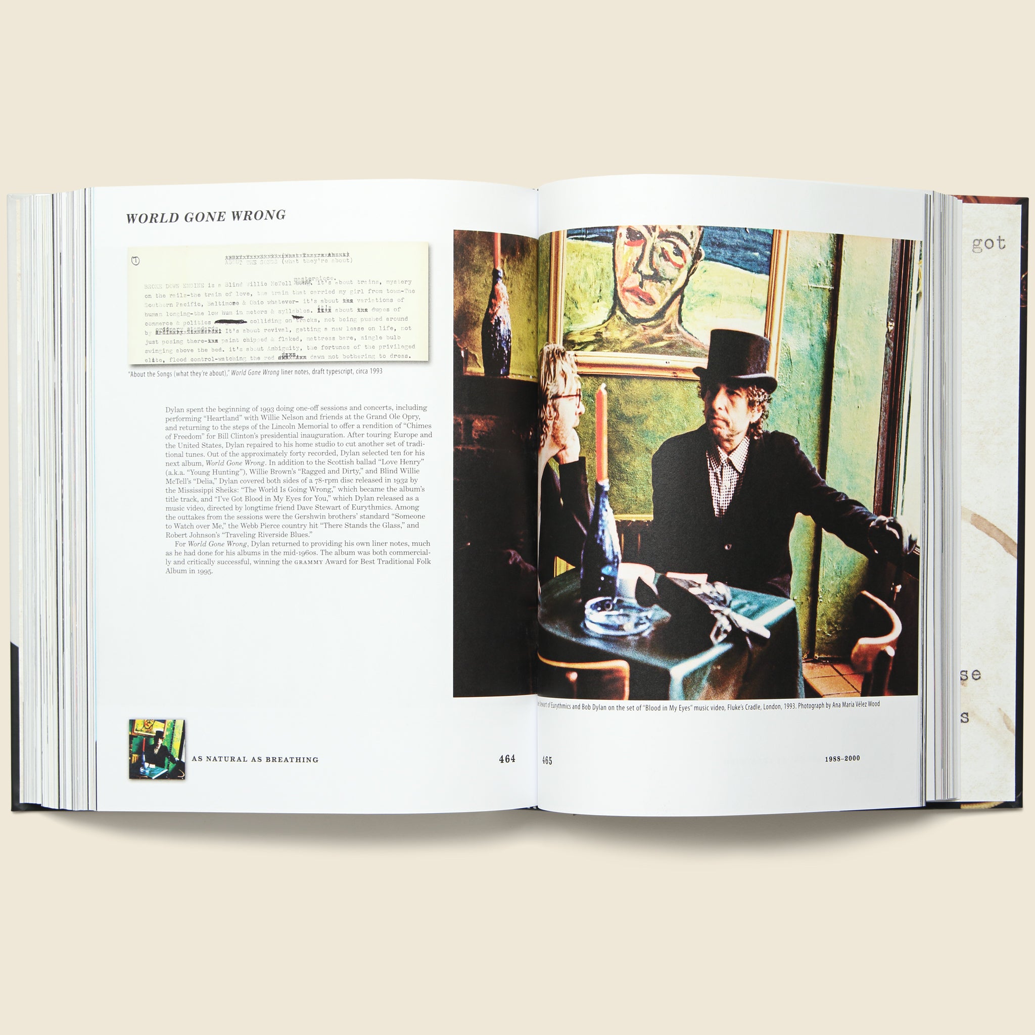 
                          Bob Dylan: Mixing Up the Medicine - Bookstore - STAG Provisions - Home - Library - Book
                        