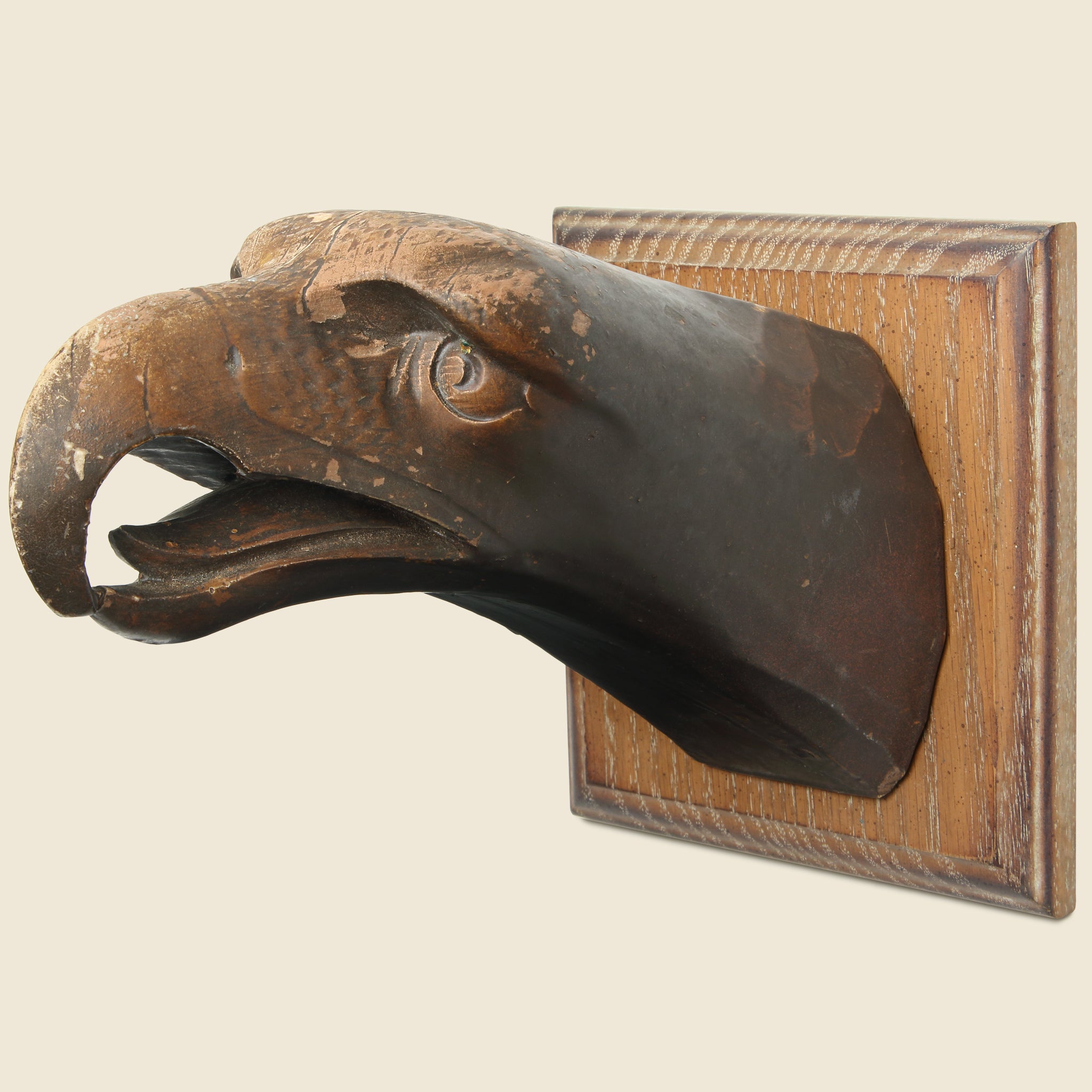 Mounted Eagle Bust - Vintage - STAG Provisions - One & Done - Miscellaneous