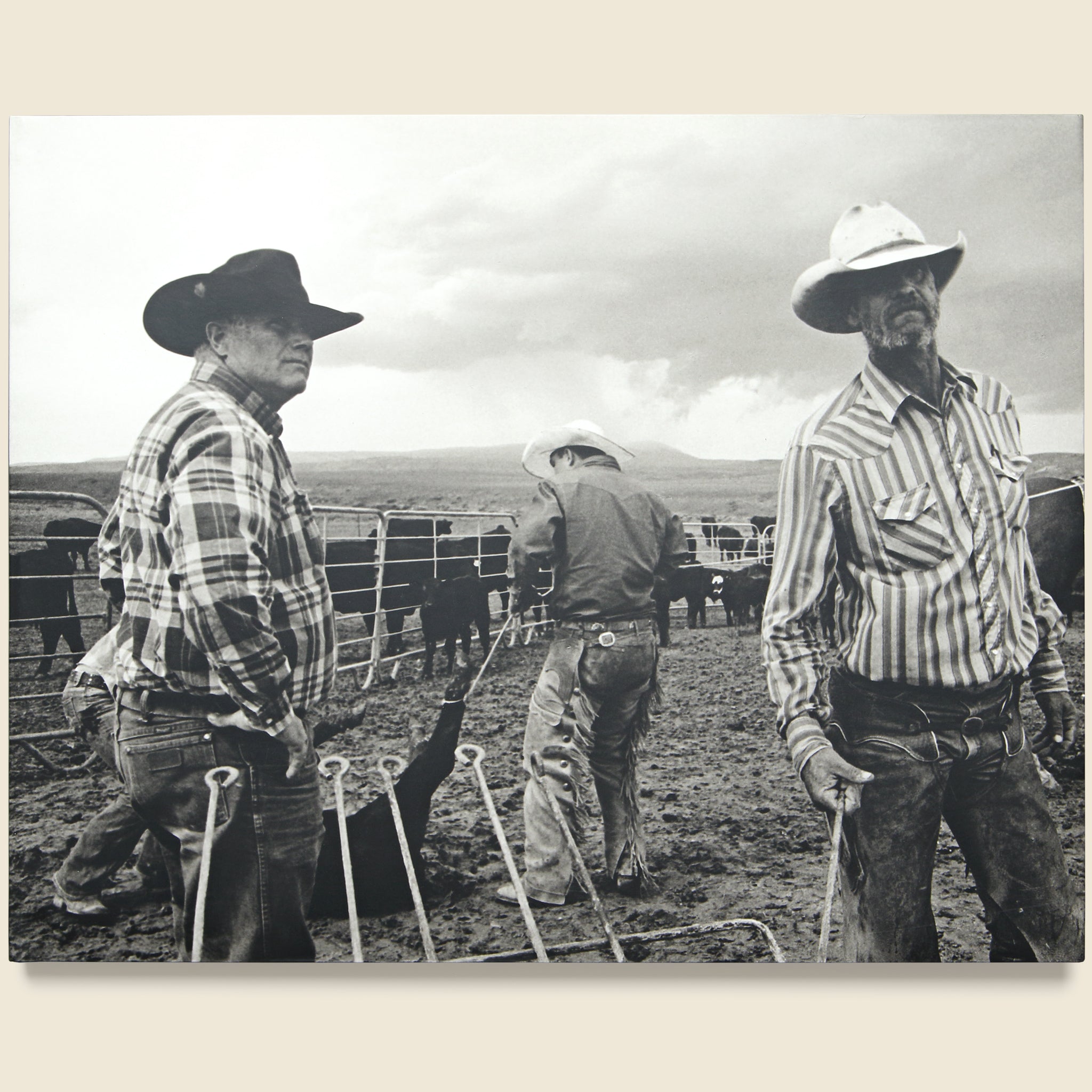 John Langmore: Open Range - Bookstore - STAG Provisions - Home - Library - Book