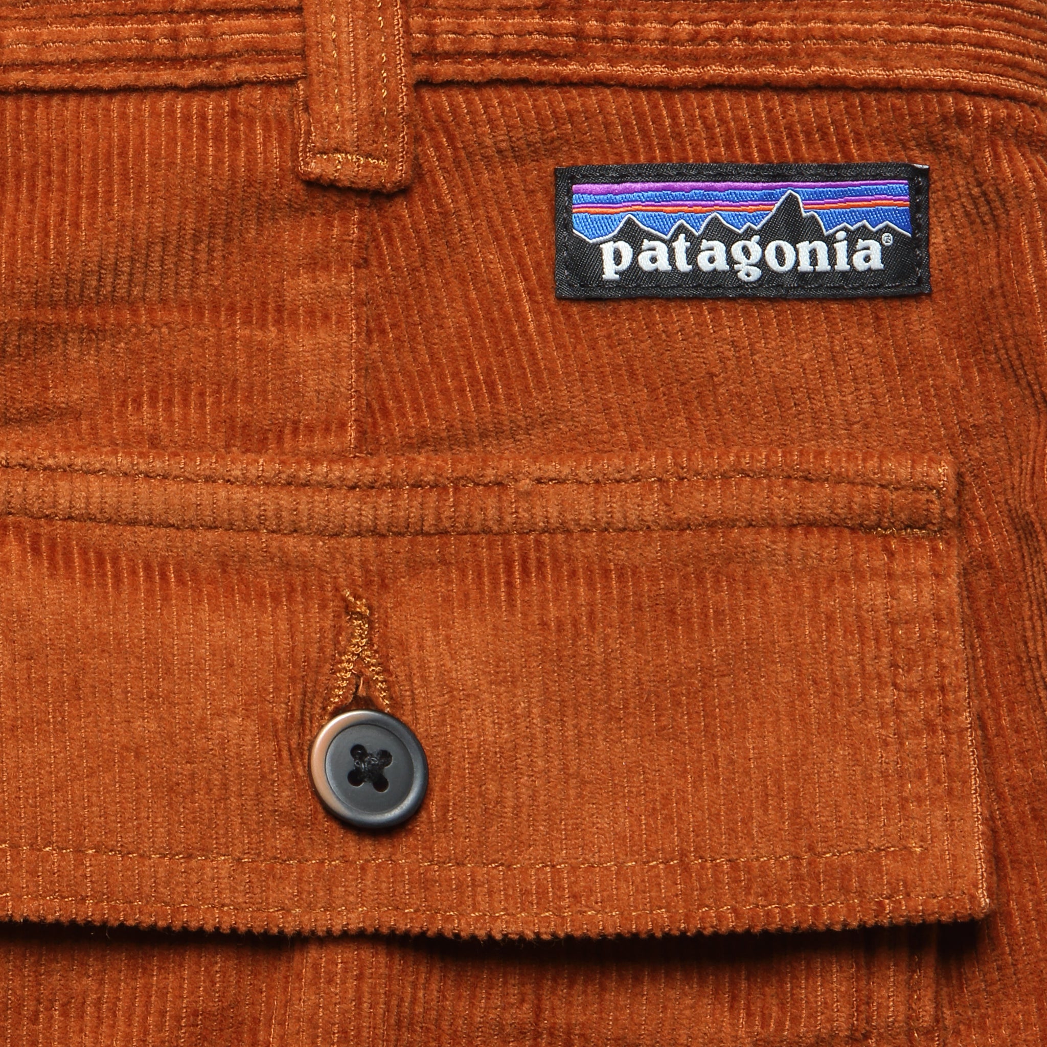 
                          6" Cord Utility Shorts - Robin Brown - Patagonia - STAG Provisions - Shorts - Solid
                        