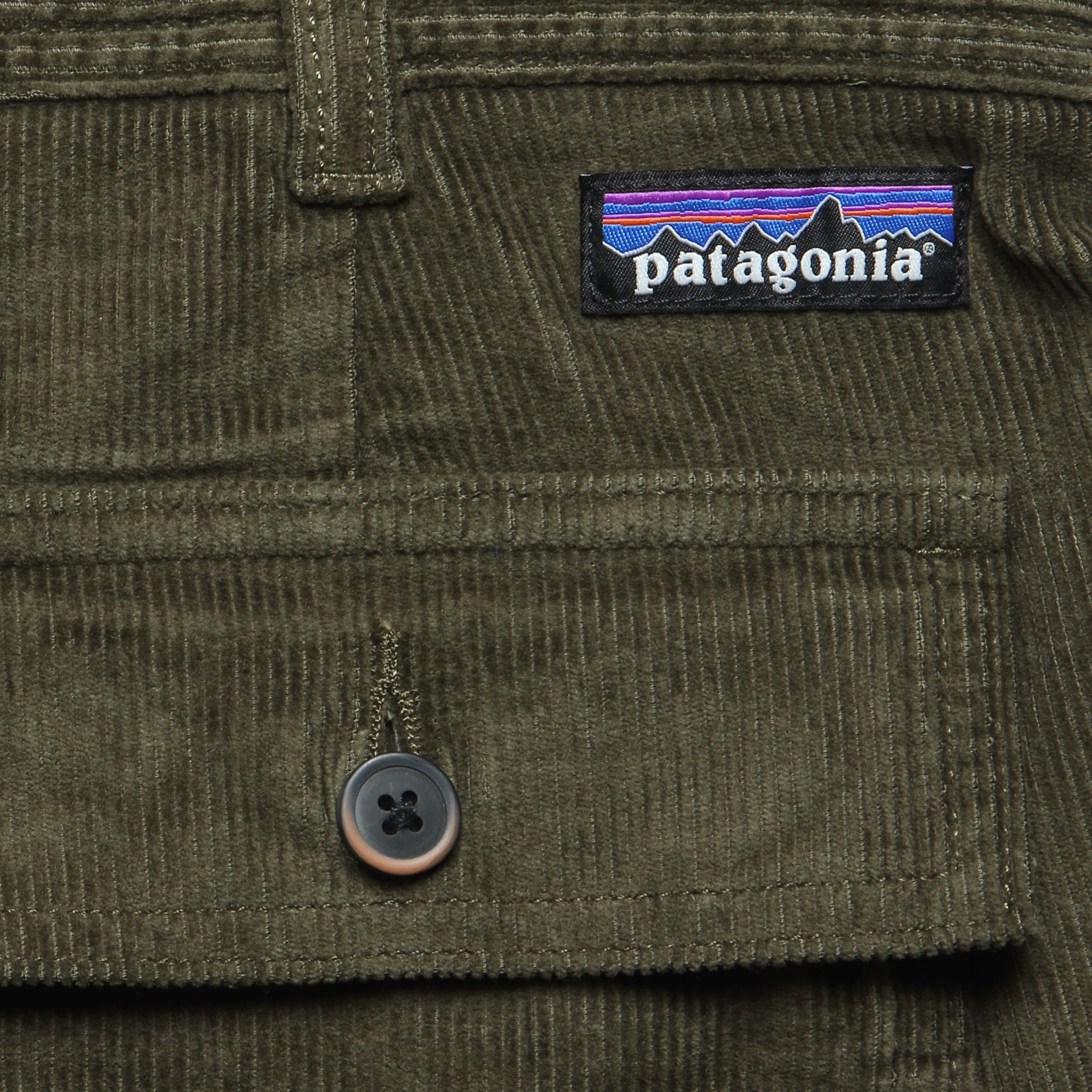 
                          6" Cord Utility Shorts - Basin Green - Patagonia - STAG Provisions - Shorts - Solid
                        