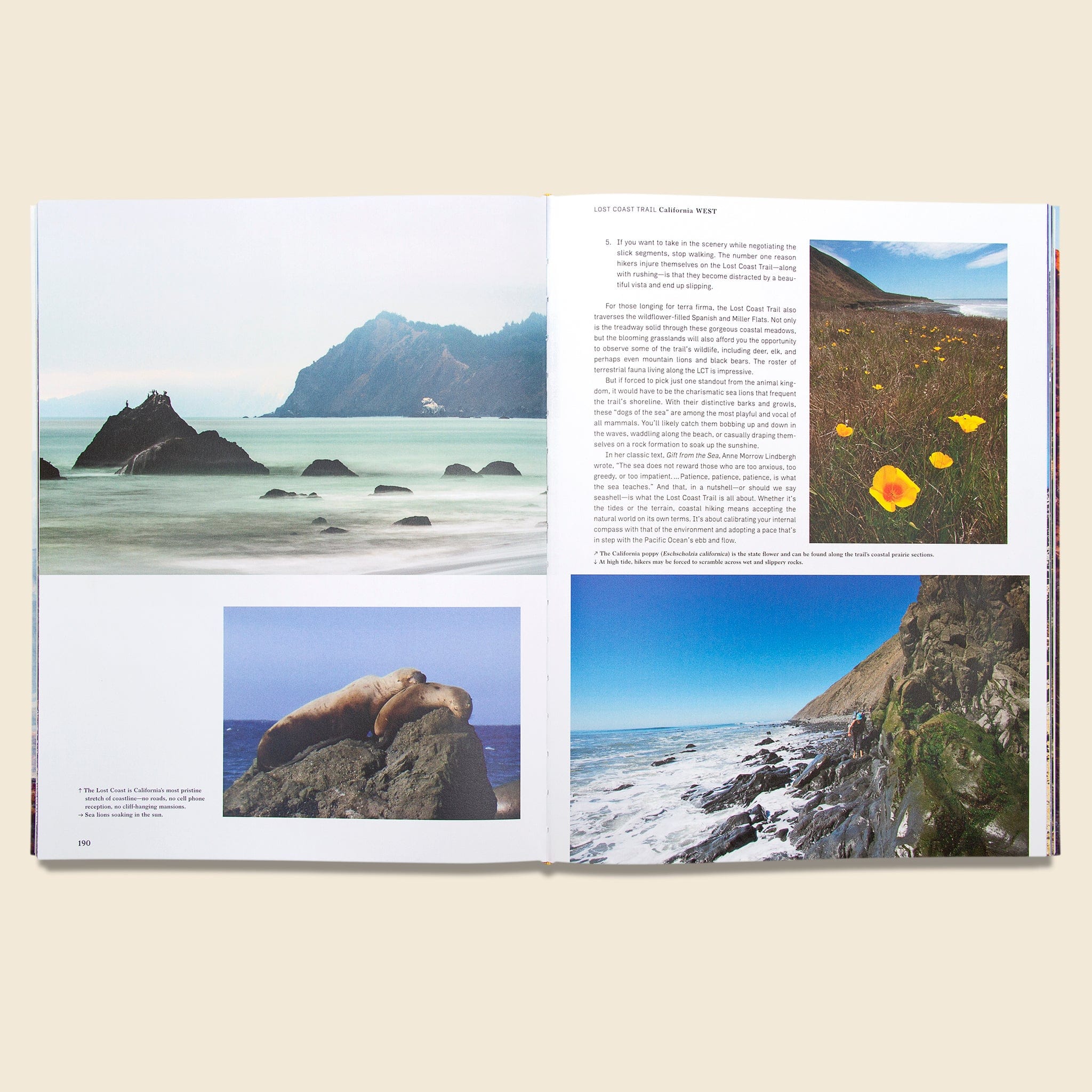 
                          Wanderlust USA: The Great American Hike - Bookstore - STAG Provisions - Home - Library - Book
                        
