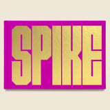 SPIKE - Spike Lee - Bookstore - STAG Provisions - Home - Library - Book