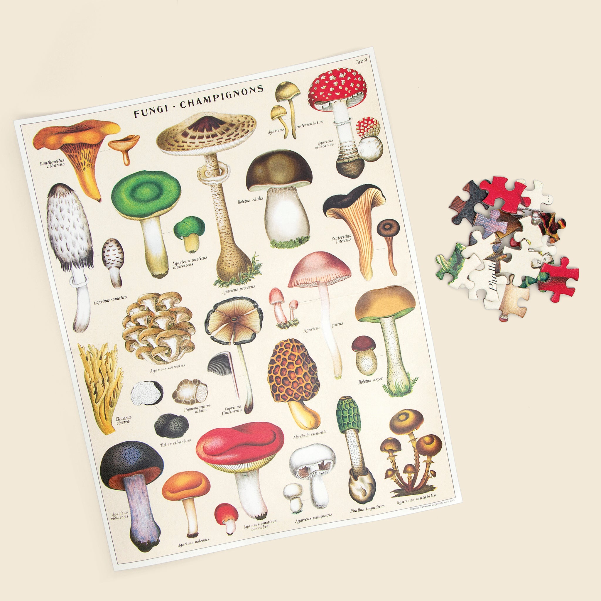 
                          Mushroom Puzzle - Home - STAG Provisions - Home - Bar &amp; Entertaining - Game
                        