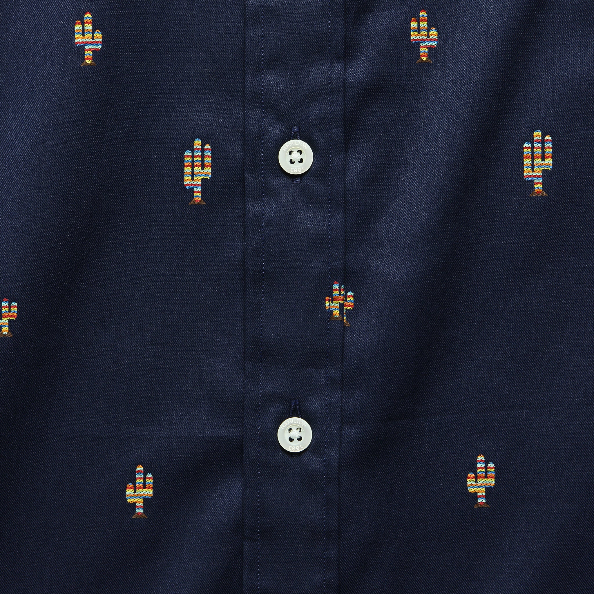 
                          Rainbow Cactus Shirt - Multi - Hamilton Shirt Co. - STAG Provisions - Tops - S/S Woven - Other Pattern
                        