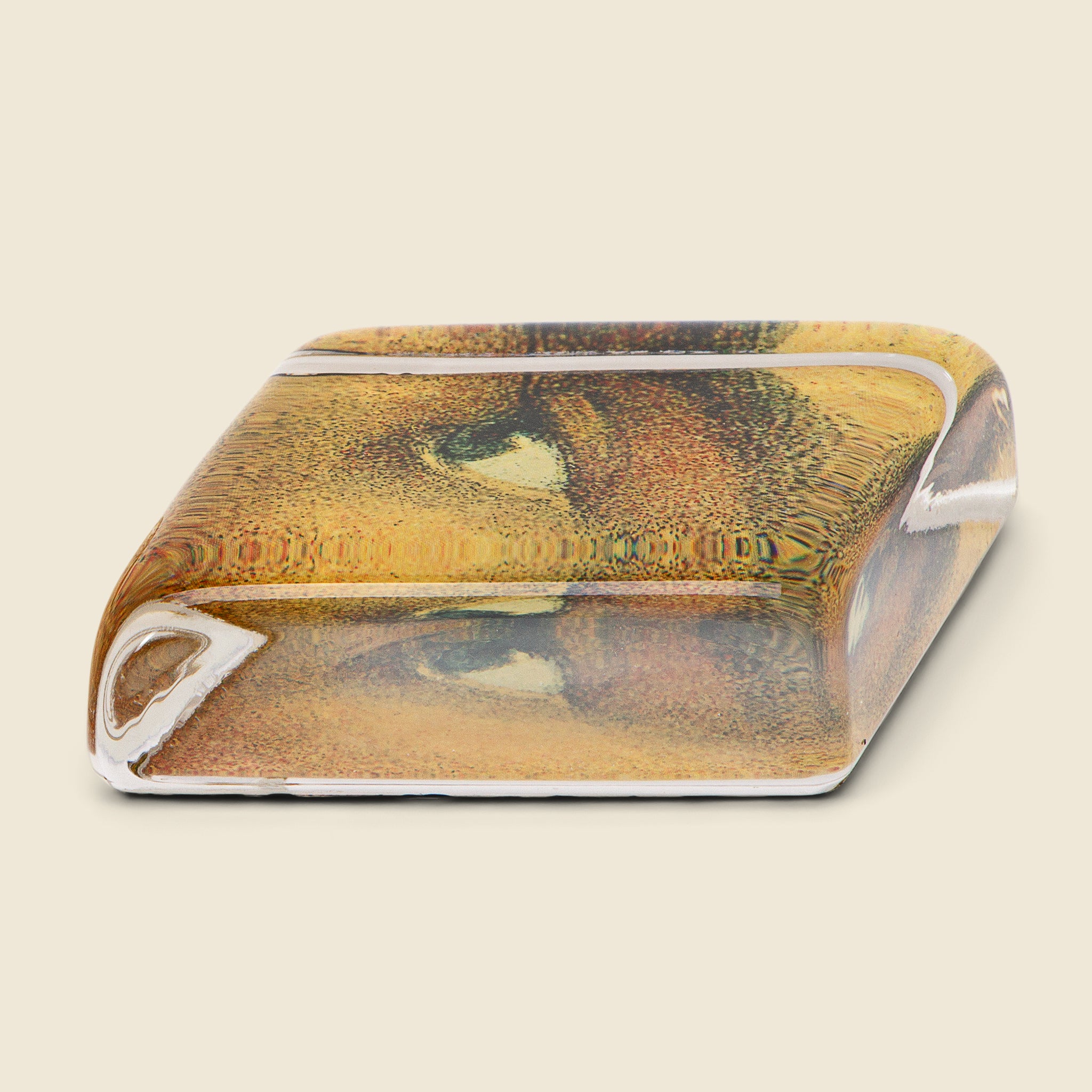 
                          A Man's Left Eye Diamond Paperweight - John Derian - STAG Provisions - Home - Art &amp; Accessories - Decorative Object
                        