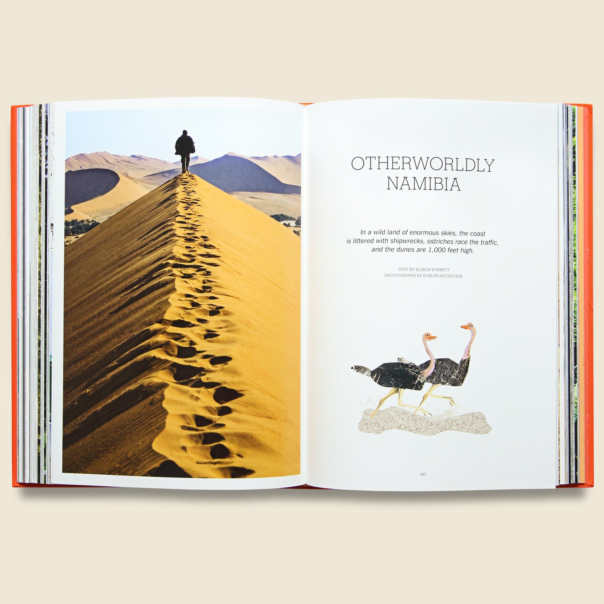 
                          The New York Times Explorer: Mountains, Deserts, &amp; Plains - Bookstore - STAG Provisions - Gift - Books
                        